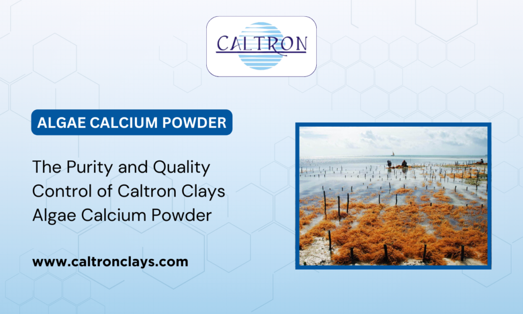 Algae Calcium Powder supplier in India