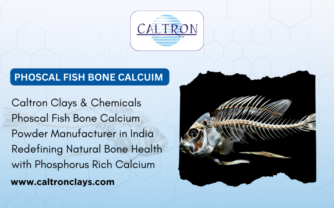 Caltron Clays & Chemicals – Phoscal Fish Bone Calcium Powder Manufacturer in India Redefining Natural Bone Health with Phosphorus-Rich Calcium